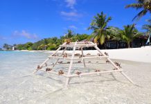 SHERATON MALDIVES FULL MOON RESORT & SPA MAKES WAVES IN SUSTAINABILITY