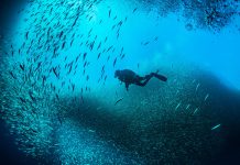 Cathay Pacific curates a list of springtime must-visit destinations