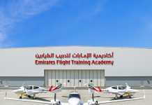 EFTA’s Diamonds sparkle over Dubai South’s skies