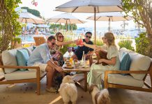 Park Hyatt Dubai Introduces a Tail-Telling Stay Offer