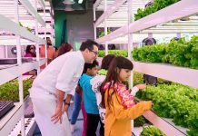 LAPITA PAVES THE WAY FOR SUSTAINABLE HOSPITALITY WITH GREEN INITIATIVES