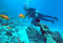 Crowne Plaza Jeddah Hotel Launches Four Exciting Scuba Diving Packages