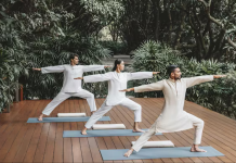 Renewed Focus in Holistic Health Sparks Ancient Ayurveda Revival