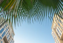 Al Habtoor Grand Resort, Autograph Collection Celebrates “The Mark” – Beach Meets Culture