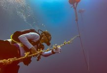 Nova Maldives Enhances Coral Restoration Efforts with Innovative Floating Nursery