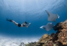 Seize the Moment and Experience the Last of the Manta Season at Four Seasons Resort Maldives at Landaa Giraavaru