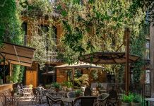 The Mandrake: London’s best-kept secret