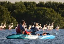 ESCAPE TO A COASTAL WINTER SANCTUARY AT THE OBEROI BEACH RESORT, AL ZORAH