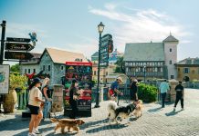 Dubai Parks™ and Resorts hosts Dubai’s first-ever Wagathon as part of Dubai Fitness Challenge