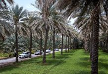 Arabian Adventures launches in Oman to meet rising travel demand in 2025