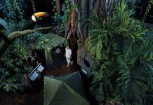Camping in the Rainforest returns to The Green Planet™ Dubai with all-new adventures until November