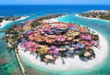 Hyatt Survey Uncovers Growing Demand for Wellness and Sport-Led Tourism in the UAE