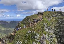 The Heart of Adventure Is C Resorts’ Cignatures