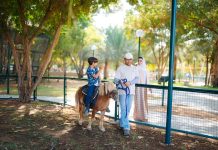 Re-Discover Al Ain Zoo: Wildlife, Heritage and over 4,000 Animals