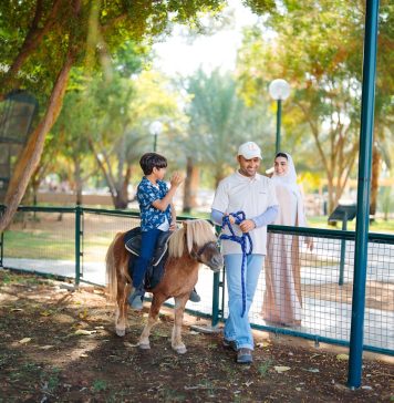 Re-Discover Al Ain Zoo: Wildlife, Heritage and over 4,000 Animals