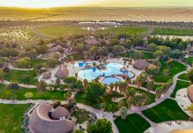 Rediscover Riyadh Through Radisson Collection’s Signature Staycations