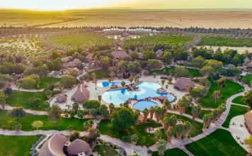 Rediscover Riyadh Through Radisson Collection’s Signature Staycations