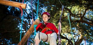 DAZ Festival 2026 opens tomorrow, transforming Al Jahili Park into a Wild Escape in Al Ain