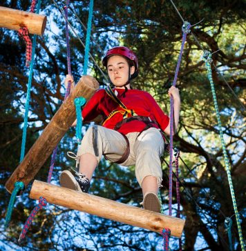 DAZ Festival 2026 opens tomorrow, transforming Al Jahili Park into a Wild Escape in Al Ain