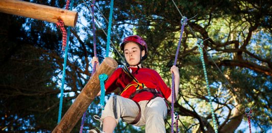 DAZ Festival 2026 opens tomorrow, transforming Al Jahili Park into a Wild Escape in Al Ain