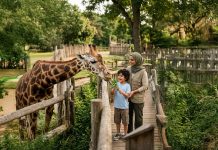 Al Ain Zoo Launches Its Summer Camp Under the Theme “Legacy of the Desert”