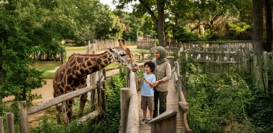Al Ain Zoo Launches Its Summer Camp Under the Theme “Legacy of the Desert”