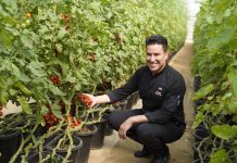 Oaks Ibn Battuta Gate Hotel launches sustainable F&B initiatives to reduce carbon emissions & waste