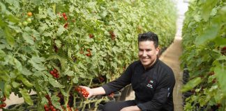 Oaks Ibn Battuta Gate Hotel launches sustainable F&B initiatives to reduce carbon emissions & waste