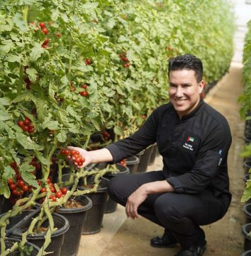 Oaks Ibn Battuta Gate Hotel launches sustainable F&B initiatives to reduce carbon emissions & waste