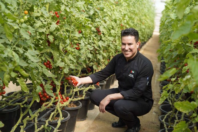 gari-abdelmjid-executive-chef-at-oaks-ibn-battuta-gate-hotel-dubai