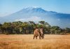 One country, two extraordinary escapes: British Airways announces new Tanzania routes and network update for summer 2027