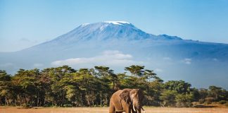 One country, two extraordinary escapes: British Airways announces new Tanzania routes and network update for summer 2027