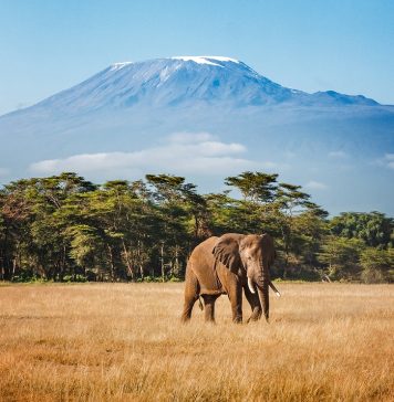 One country, two extraordinary escapes: British Airways announces new Tanzania routes and network update for summer 2027